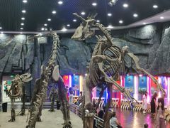 -吉林省自然博物馆