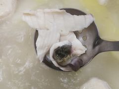 -源港渔村-中山脆肉鲩(博罗店)