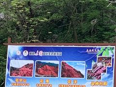 -木兰云雾山