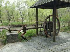 -溱湖国家湿地公园