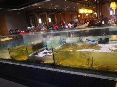 -Isla Sugbu Seafood City