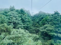 -苍山感通索道