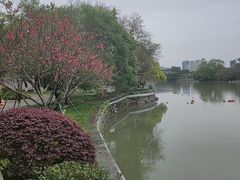 -江心屿景区