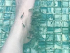 -广州都喜泰丽温泉度假酒店
