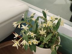 -南堂馆·新川菜(春熙路店)