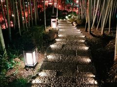 -杭州黄龙洞