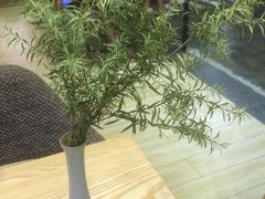 -扫雪煮茶(西村店)