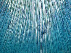 -广州中医药大学第一附属医院(总院)