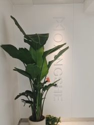 -魔型社烫染店
