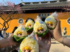 -无锡梅园公园