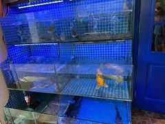 -迎晨餐厅(青芝坞店)