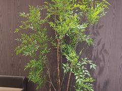 -苏淮景·苏闽融创菜·海鲜(原空港井河轩店)