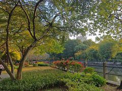 -晓港公园