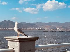 -海埂大坝