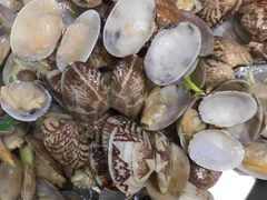 清灼小海鲜-必点海鲜·鲅鱼水饺(鞍山西道店)