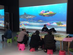 -贝壳王国博物馆