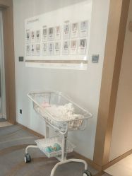 -大美母婴月子中心(希尔顿店)