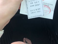 -迪士尼乐园停车场