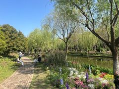 -上海鲜花港