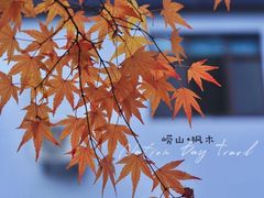 -崂山九水游览区