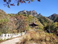 -云岫谷游猎自然风景区