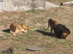-无锡动物园·太湖欢乐园