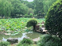 -孝子祠公园
