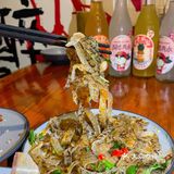 多碰杯 常碰面 🍻 宁波日剧同款深夜食堂