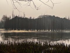 -白鹭湾湿地公园