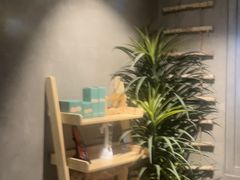 -施奈儿.洗头頭療.按摩SPA.采耳(上梅林店)