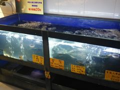 水产区-江南婆婆(车墩店)