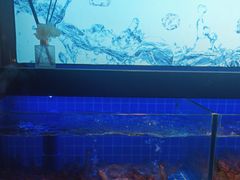 -透明思烤·自助烤肉海鲜火锅(东部星悦天地店)