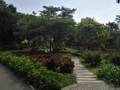 -晓港公园
