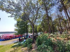 -上海海湾国家森林公园