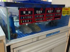 -皮记海鲜1995(寮步店)