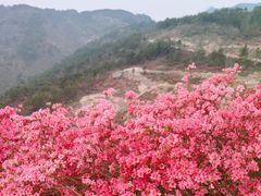 -木兰云雾山