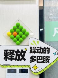 -凡碧诗毛孔清洁收细