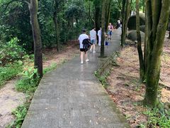 -火炉山森林公园