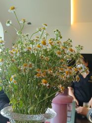 -栖SPA·ONDA ·美芙炫·海菲秀科技美肤中心