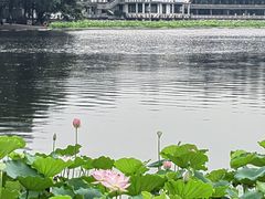 -荔湾湖公园
