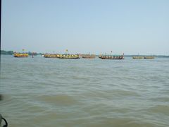 -溱湖国家湿地公园