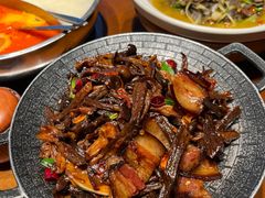 -凤凰山斑鱼馆(恭城店)