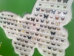-盈香心动乐园