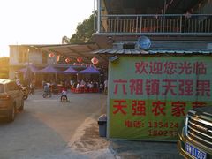 -天强农家菜馆