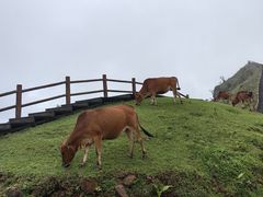 -天龙顶山地公园