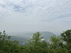 -惠山国家森林公园