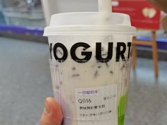 -一只酸奶牛(洪崖洞11楼店)