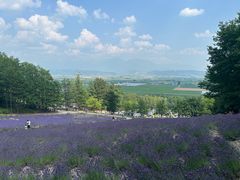 -富田农场
