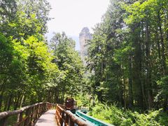 -十里画廊