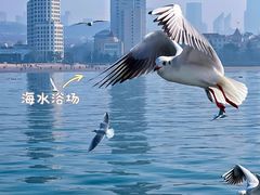 -青岛奥林匹克帆船中心
